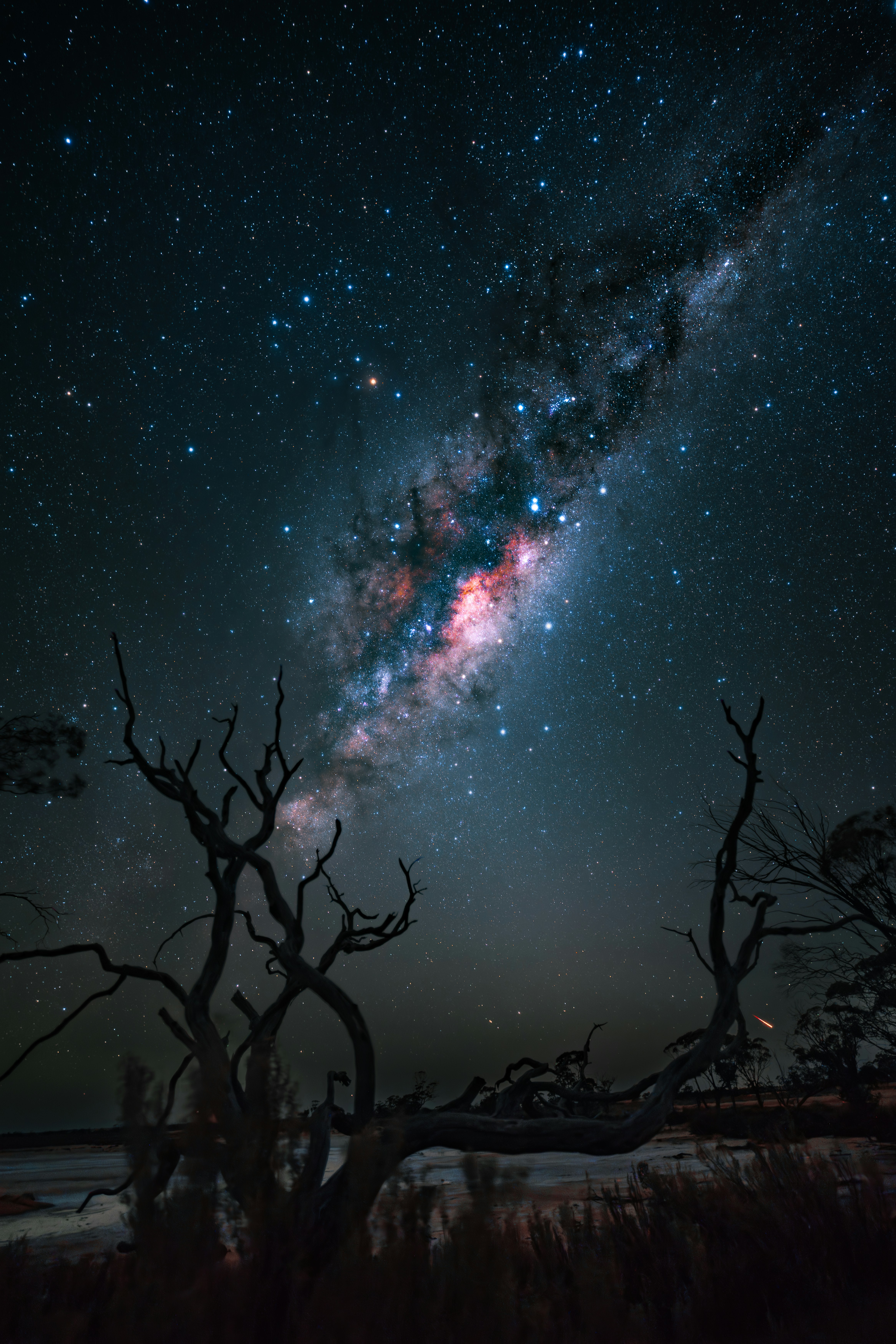 Night Sky